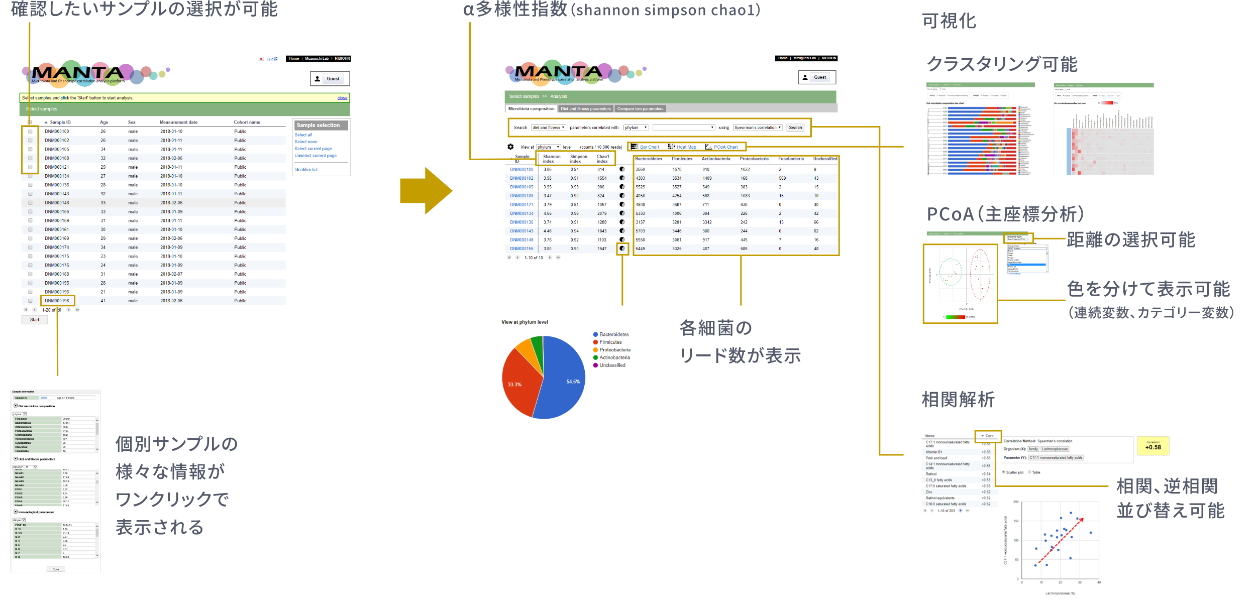 MANTAプラットフォームのフロー図